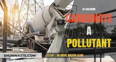 Calcium Carbonate: A Pollutant or Not?