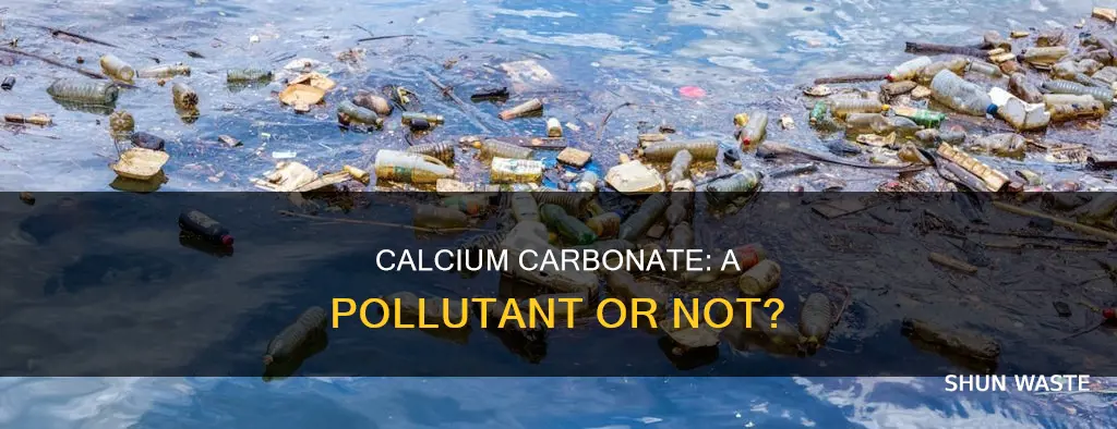 is calcium carbonate a pollutant