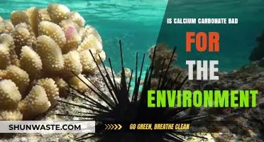 Calcium Carbonate's Environmental Impact: Harmful or Harmless?