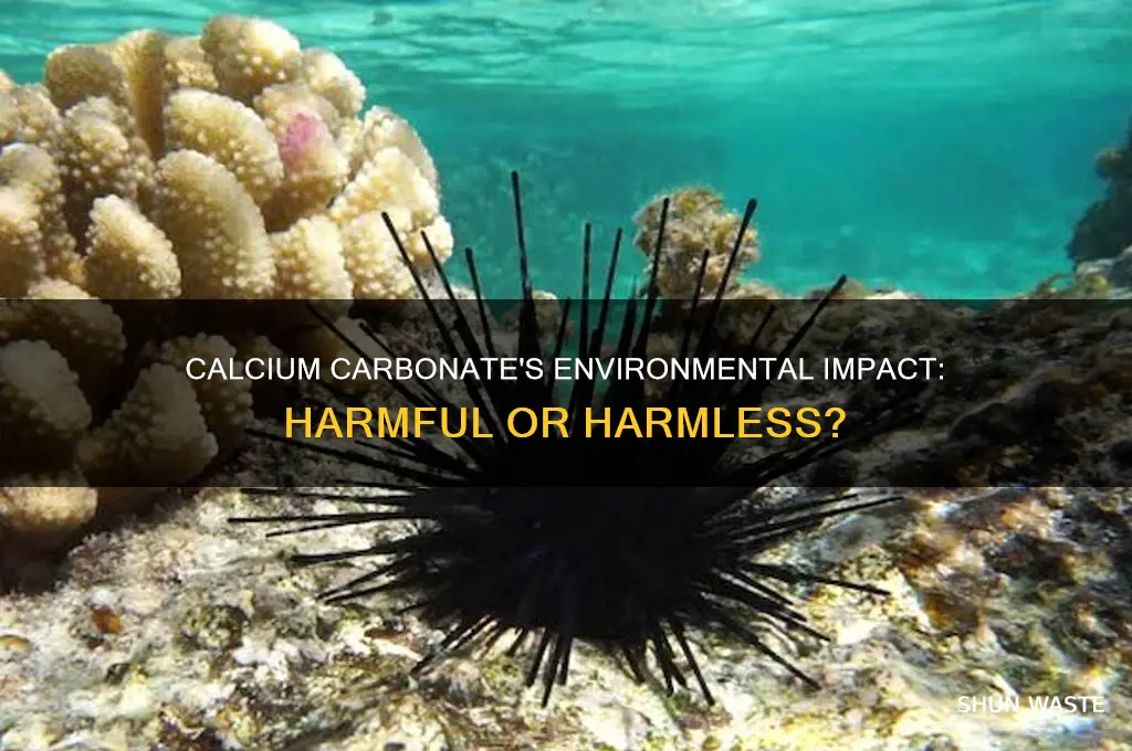 is calcium carbonate bad for the environment