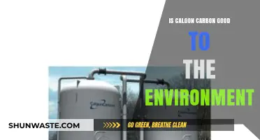 Calgon Carbon's Environmental Impact: Sustainable Solutions or Greenwashing?