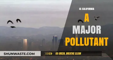California's Pollution Problem: A Major Pollutant?
