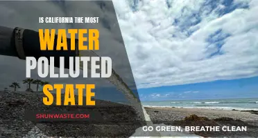 California's Water Woes: Unveiling the Truth Behind Pollution Concerns