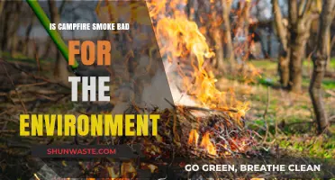 Campfire Smoke: Environmental Impact and Sustainable Alternatives Explored
