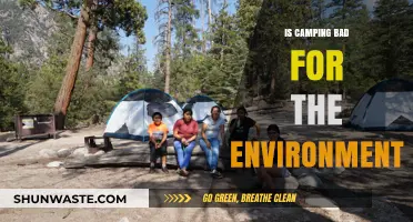Camping's Environmental Impact: Harmful or Sustainable Outdoor Adventure?