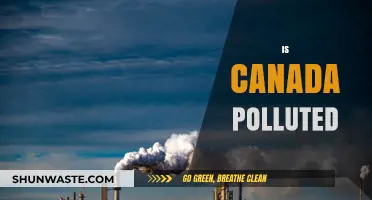 Canada's Environmental Concerns: Unveiling the Truth Behind Pollution