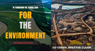 Canadian Oil Sands: Environmental Impact and Sustainability Concerns Explored