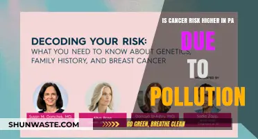 Cancer Risk and Pollution in PA: What's the Link?