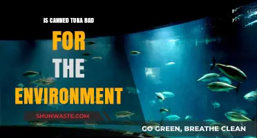 Is Canned Tuna Eco-Friendly? Uncovering Its Environmental Impact