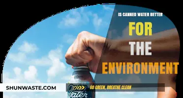 Canned Water vs. Plastic: Which is Greener for Our Planet?