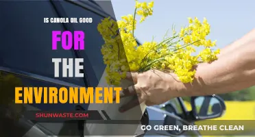 Is Canola Oil Eco-Friendly? Exploring Its Environmental Impact and Sustainability