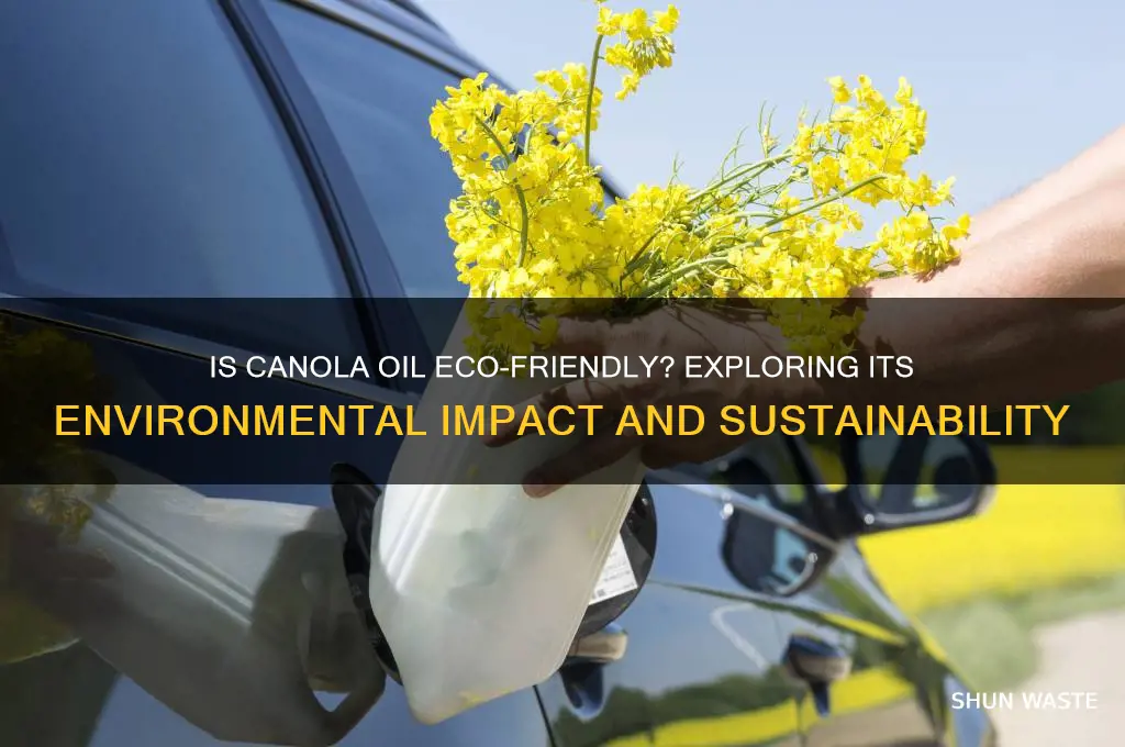 is canola oil good for the environment