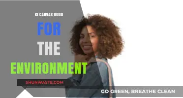 Is Canvas Eco-Friendly? Exploring Its Environmental Impact and Benefits