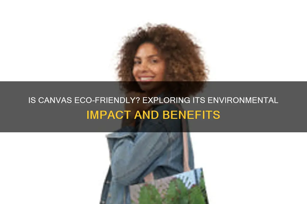 is canvas good for the environment