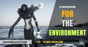 Capitalism's Environmental Impact: Sustainable Future or Ecological Disaster?