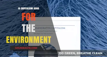 Capitalism's Environmental Impact: Sustainable Solution or Ecological Threat?