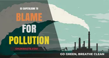 Capitalism's Role in Environmental Pollution: Who's to Blame?