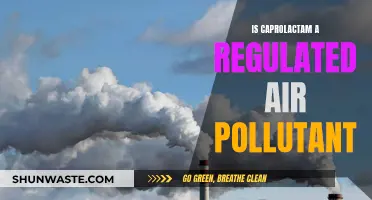 Caprolactam: Regulated Air Pollutant?