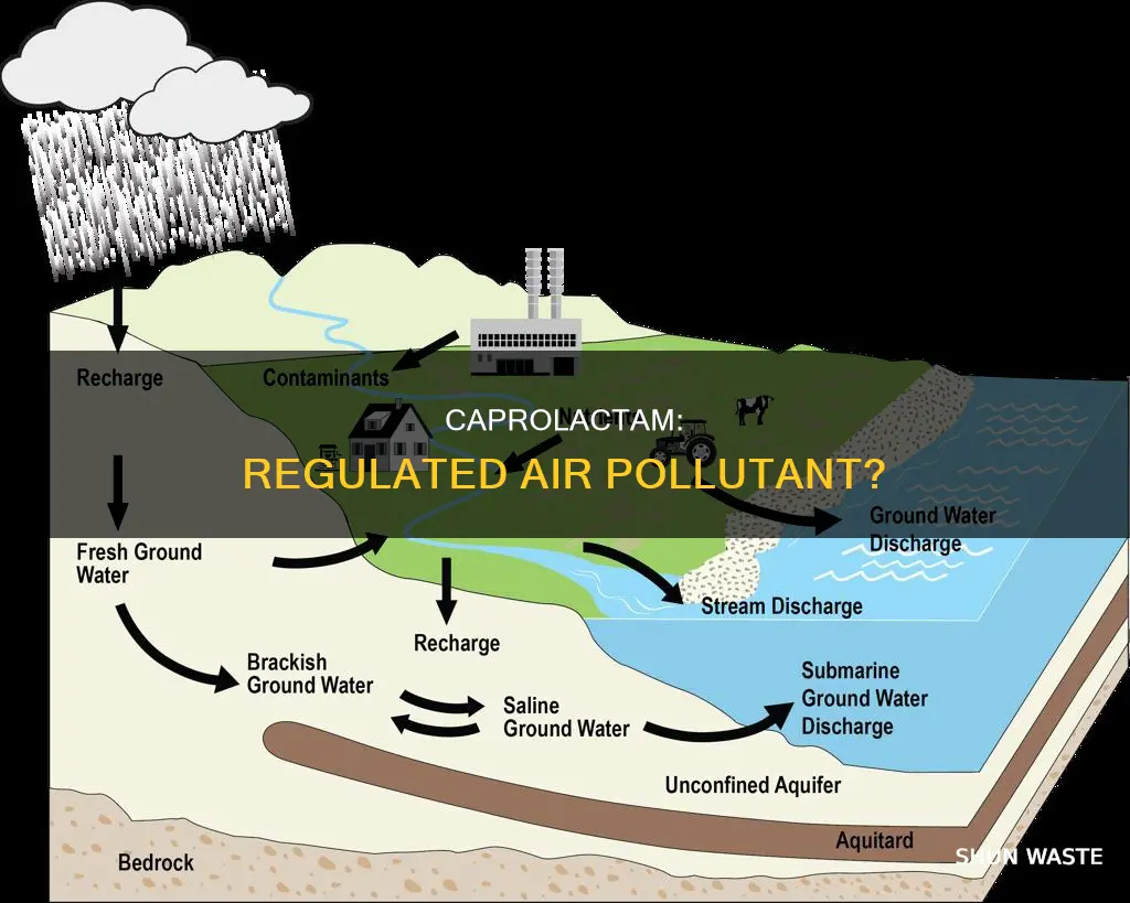 is caprolactam a regulated air pollutant