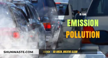Car Emissions: A Lethal Legacy?