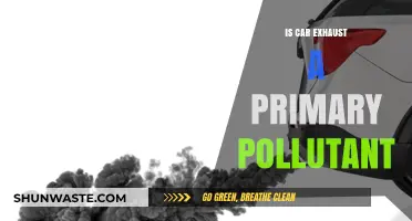 Car Exhaust: Primary Pollutant or Not?