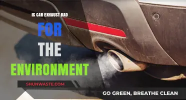 Car Exhaust Emissions: Environmental Impact and Sustainable Alternatives Explored
