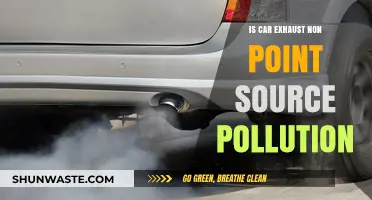 Vehicle Emissions: Understanding Non-Point Source Pollution