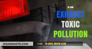 Car Exhaust: Toxic Pollution or Necessary Evil?