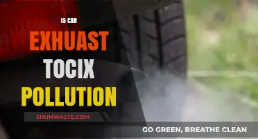 Car Exhaust: Toxic Pollution and Health Risks