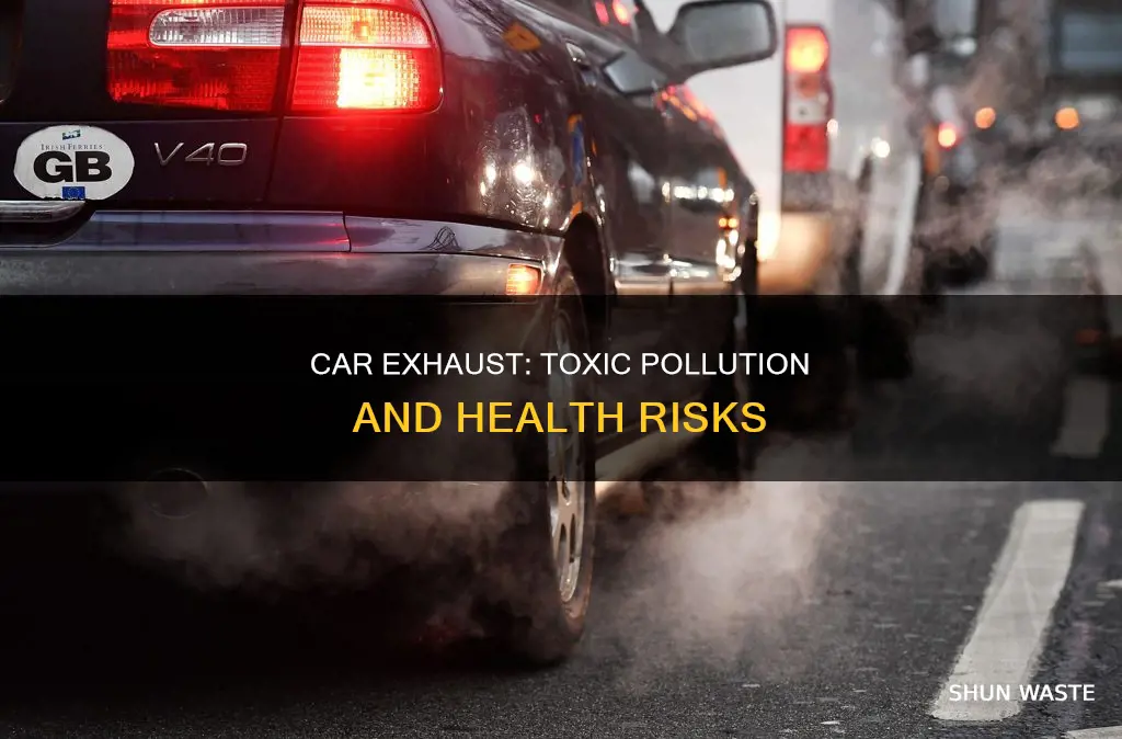 is car exhuast tocix pollution