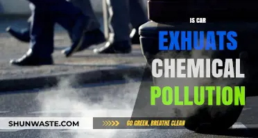 Car Exhausts: Chemical Pollution and Health Risks