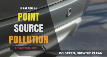 Car Fumes: Point Source Pollution in Our Cities