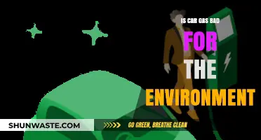 Car Gas Emissions: Environmental Impact and Sustainable Alternatives Explored
