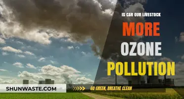 Cars and Livestock: Who's the Ozone Killer?