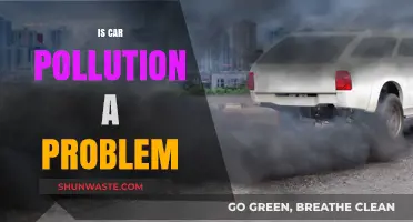 Car Pollution: A Problem or Not?