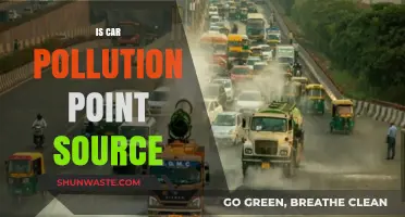 Car Pollution: Point Source or Not?