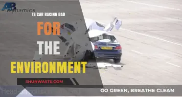 Car Racing's Environmental Impact: A Sustainable Sport or Eco-Disaster?
