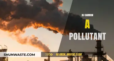 Carbon's Pollutant Status: What's the Verdict?