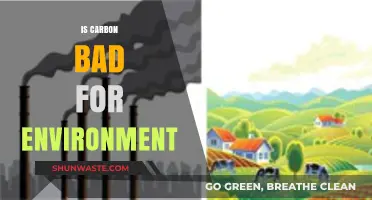 Is Carbon Harmful? Unveiling Its Environmental Impact and Consequences
