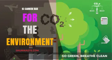 Is Carbon Really Harmful? Unraveling Its Environmental Impact and Myths