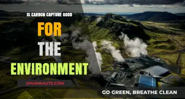 Is Carbon Capture a Sustainable Solution for Environmental Preservation?