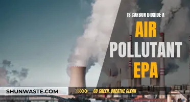 Carbon Dioxide: Air Pollutant or Not? EPA's Take