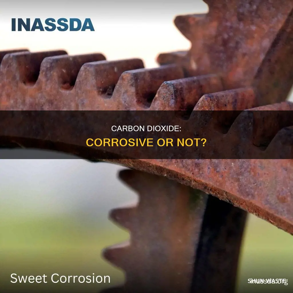 is carbon dioxide a corrosive pollutant