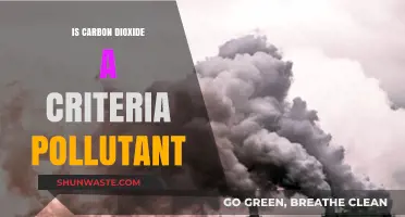 Carbon Dioxide: A Criteria Pollutant?