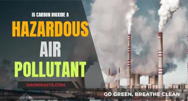 Carbon Dioxide: Hazardous Air or Necessary Evil?