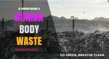 Is Carbon Dioxide a Human Body Waste? Exploring the Science