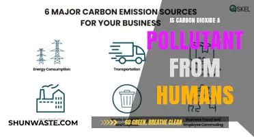 Carbon Dioxide: Human Pollutant or Natural Necessity?