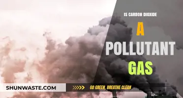 Carbon Dioxide: Friend or Foe?