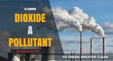 Carbon Dioxide: Friend or Foe?