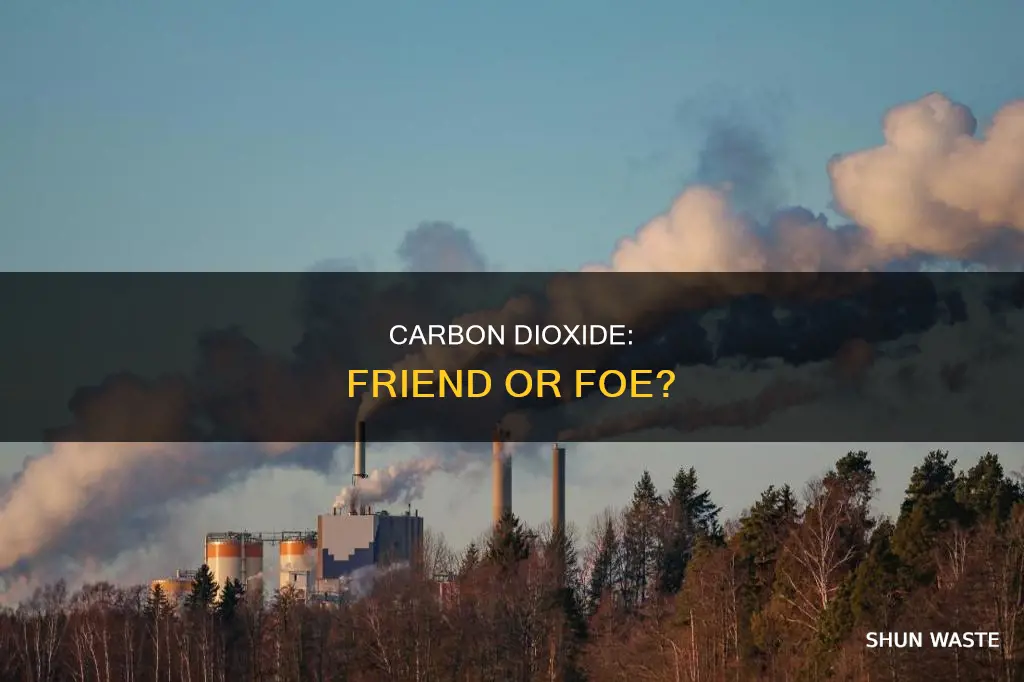 is carbon dioxide a pollutant